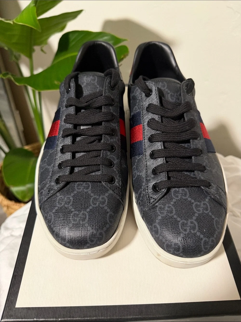 Gucci Ace GG Supreme canvas sneakers. Authentic